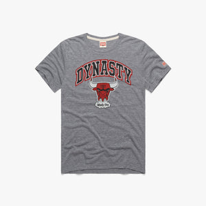 Chicago Bulls Dynasty