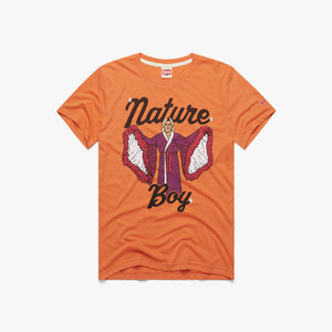 Ric Flair Nature Boy